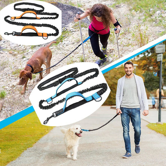 SparklyPets Dual Elastic Reflective Dog Leash - Pear & Park